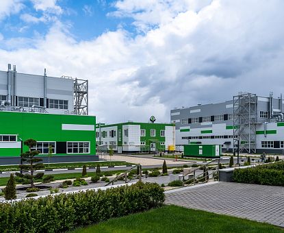 «Дайте нам зеленый свет, и мы полностью заместим импорт»