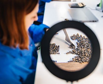 Предприятия ОЭЗ «Липецк» обеспечивают аграриев региона семенами и средствами защиты растений